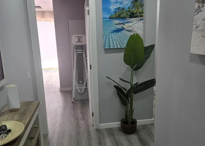 Apartamento - Sol Da Rocha *